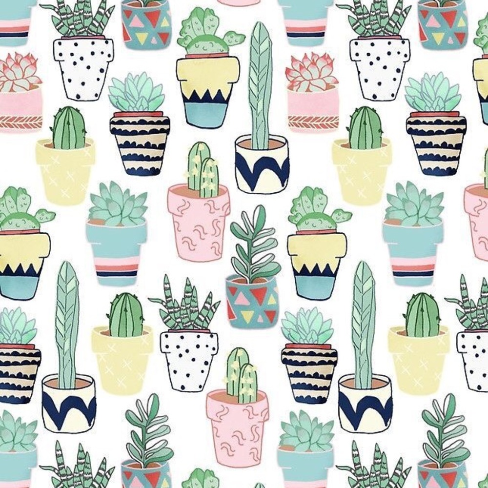 EVERYTHING MUST GO BUY ONE GET ONE FREE